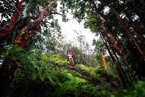 BIB: 
                            <button type="button" onclick="openModal(26202350)" class="btn btn-primary btn-sm float-right btn-popup" data-toggle="modal" data-target=".modal-high-quality">
                        <i class="fas fa-shopping-cart"></i> Add to Cart
                    </button>
                                            <button type="button" onclick="isThisMe(26202350, true)" class="btn btn-success btn-sm float-right btn-popup btn-isme hidden" data-toggle="tooltip" data-placement="bottom" title="นี่คือรูปของคุณใช่ไหม คลิกที่นี่เพื่อเอาเข้าอัลบั้ม">
                        <i class="fas fa-plus"></i> Add to album
                    </button>
                    <button type="button" onclick="isThisMe(26202350, false)" class="btn btn-warning btn-sm float-right btn-popup btn-isnotme hidden">
                        <i class="fas fa-ban"></i> Remove from album
                    </button>